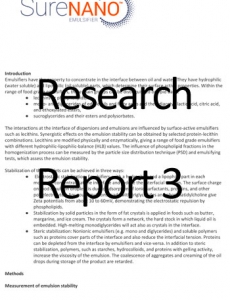 Research Report 3