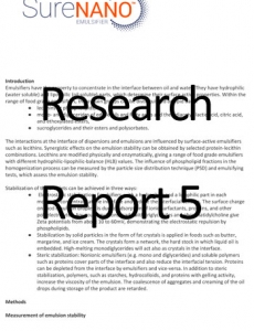 Research Report 5