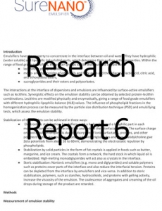 Research Report 6