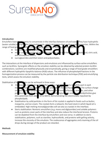 Research Report 6