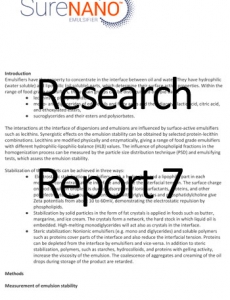 Research Report 7