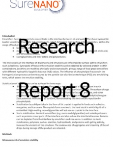 Research Report 8